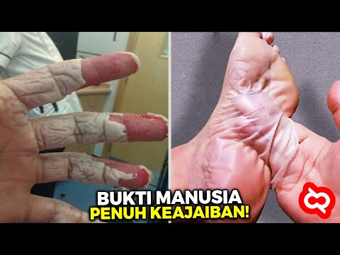 Video: Jejak Tamadun Besar