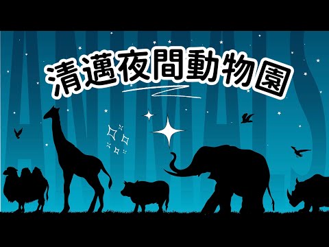 引導睡眠 | 夜間動物園超舒適療癒放鬆夜遊之旅🦒🐘🦩