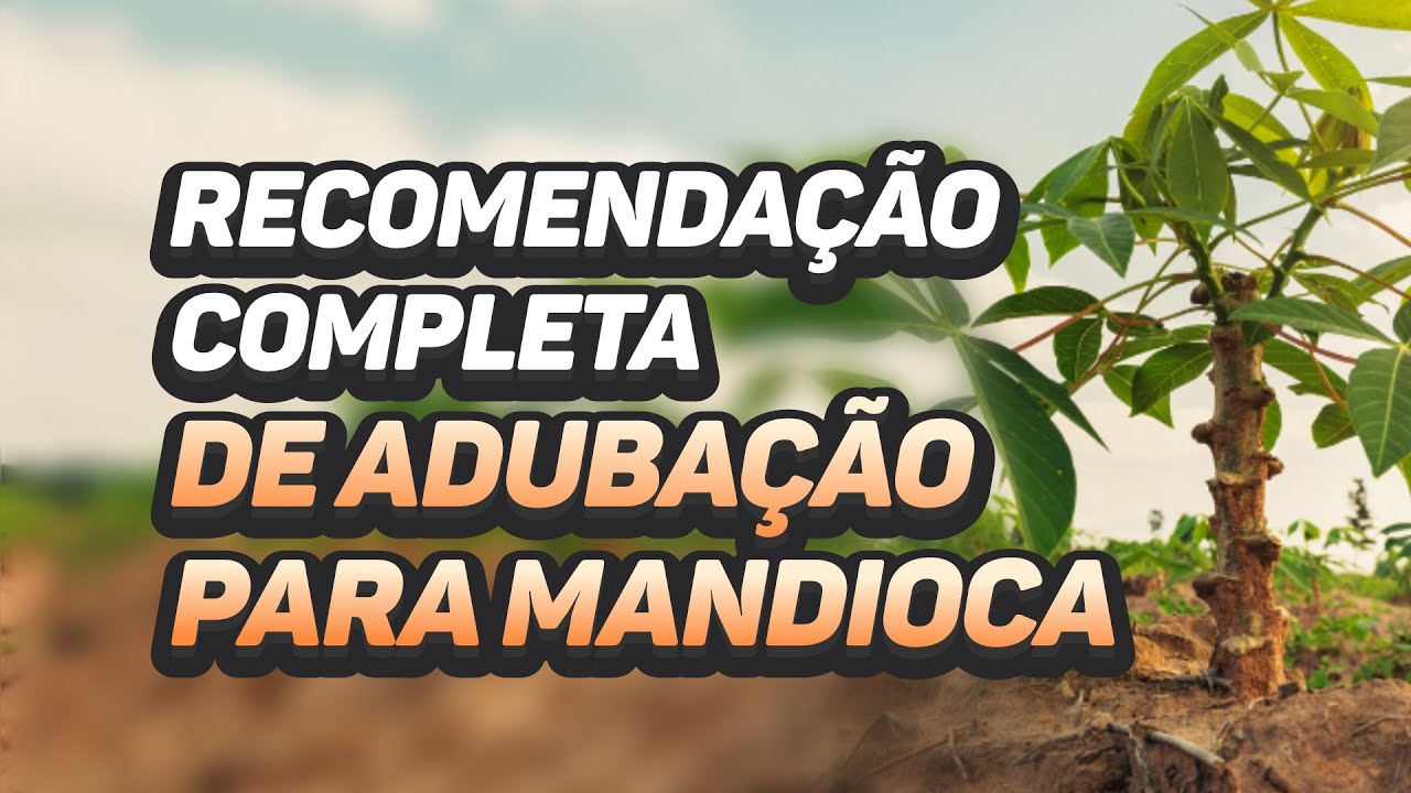 RECOMENDAÇÃO COMPLETA DE ADUBAÇÃO PARA MANDIOCA