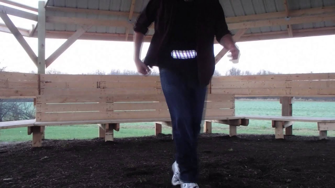 Wilson - DMS 216 - Personal Project #1