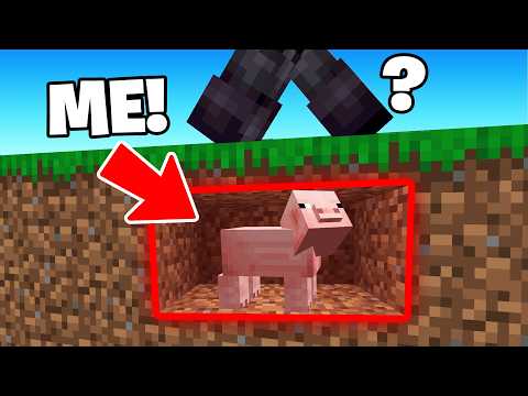 ⭐︎hide⭐︎ Using Shapeshift CHEATS In Minecraft Hide & Seek! - YouTube