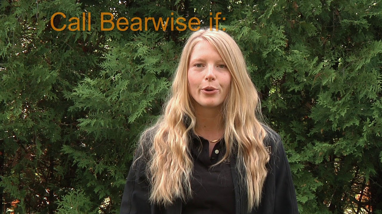 Bearwise 911 - 2018 update - Bearwise 911 - 2018 update
