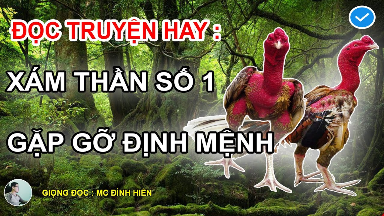 ĐỌC TRUYỆN HAY :KHÔNG PHẢI BỊP ROYKJN - XÁM THẦN MỚI LÀ SỐ 1 ĐẤT BẮC,TRUYỆN NGẮN GẶP GỠ MC ĐÌNH HIỂN