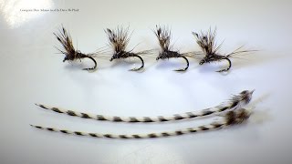 Tying a Haystack Adams Compara Dun (DryFly) with Davie McPhail