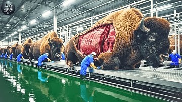 Inside Modern Bison-Leather Factory: From Raw Bison Hide to Premium Fashion Goods (Full Process)