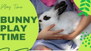 Playing with our cute little bella bunny