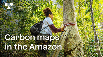 Carbon maps of the Brazilian Amazon