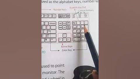 Class 3 Computer L-1 Tutorial by Mrs Ritu Kidder || Part-4