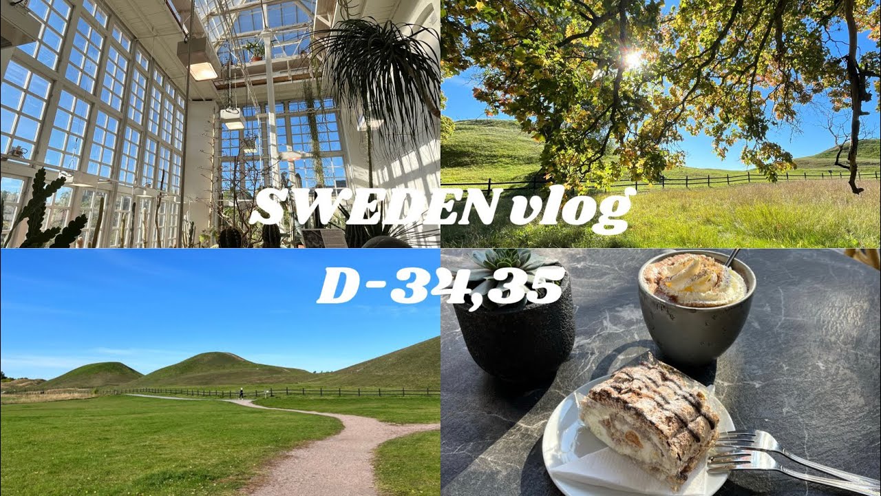 自然いっぱい！ウプサラを探索する日常【スウェーデン/交換留学/ウプサラ】