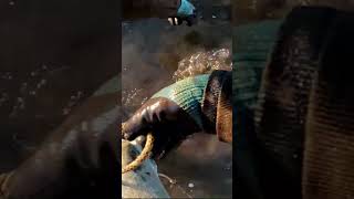 Download Lagu DIGGING METAL at SUNSET! Magnet Fishing at Susquehanna River's Shikellamy State Park, Sunbury, PA MP3