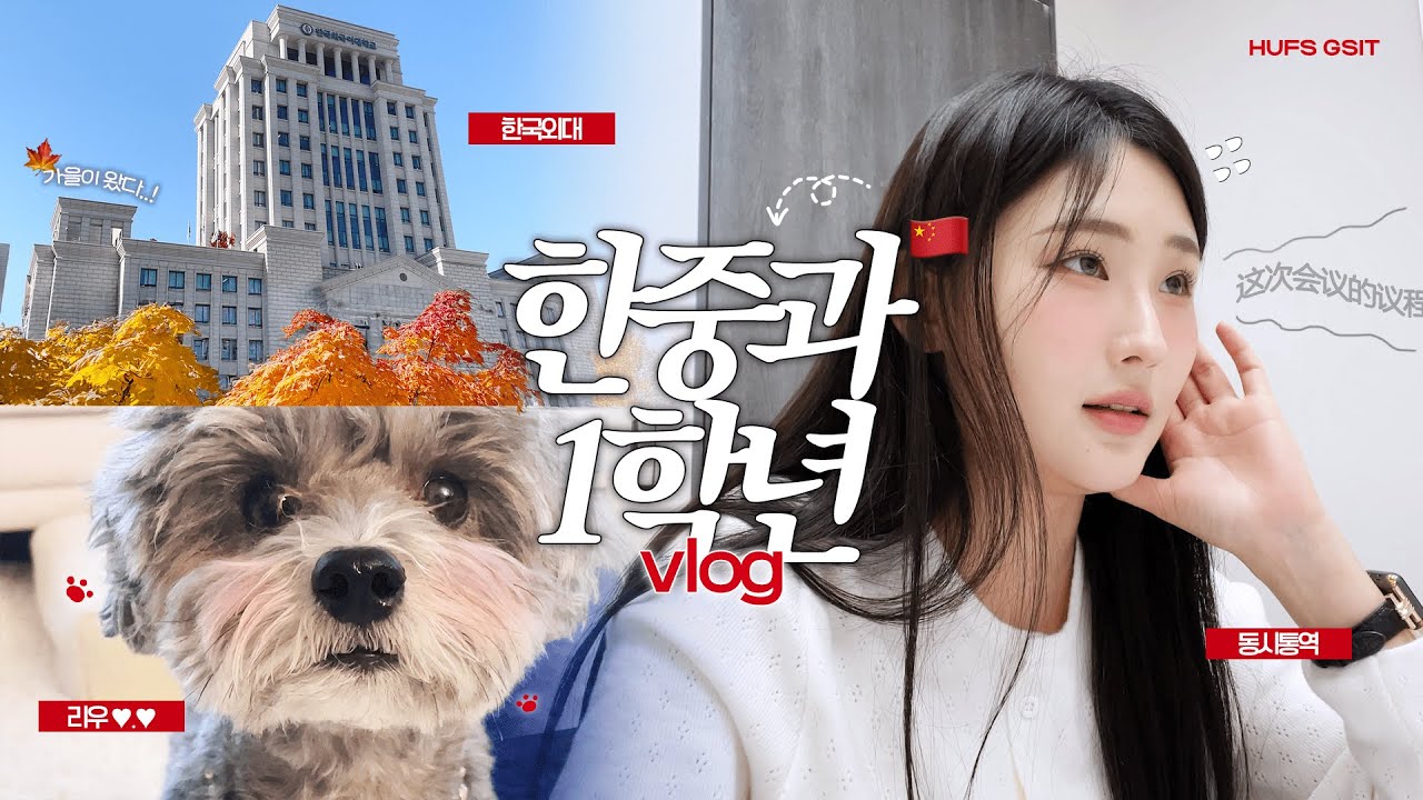 [VLOG] 한국외대 통번역대학원생 브이로그 ㅣ 한중과 1학년의 바쁜 통대생활 ㅣ🍀🐶