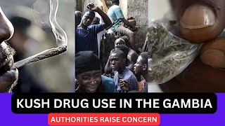 KUSH DRUG IN THE GAMBIA, AUTHORITIES ARE WORRIED