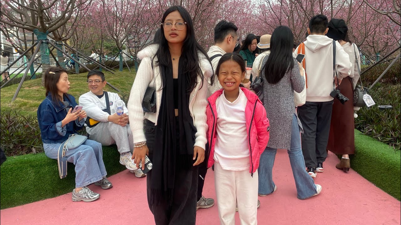 Visit to cherry blossom 🌸