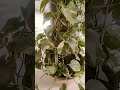 Please support guys please subscribe to my channel