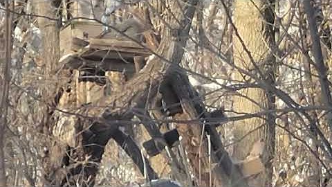 Peb saib nas noog kom txhob laj nyob os 