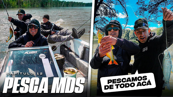 PESCA, SUPERVIVENCIA y COCINA en UNA ISLA 🎣 VLOG MDS #12
