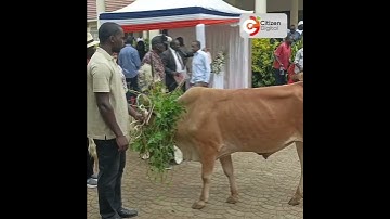 Raila Junior geïnstalleerd als hoofd van de familie Raila Odinga