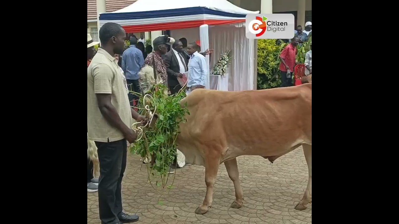 Раила-младший назначен главой семьи Раила Одинга