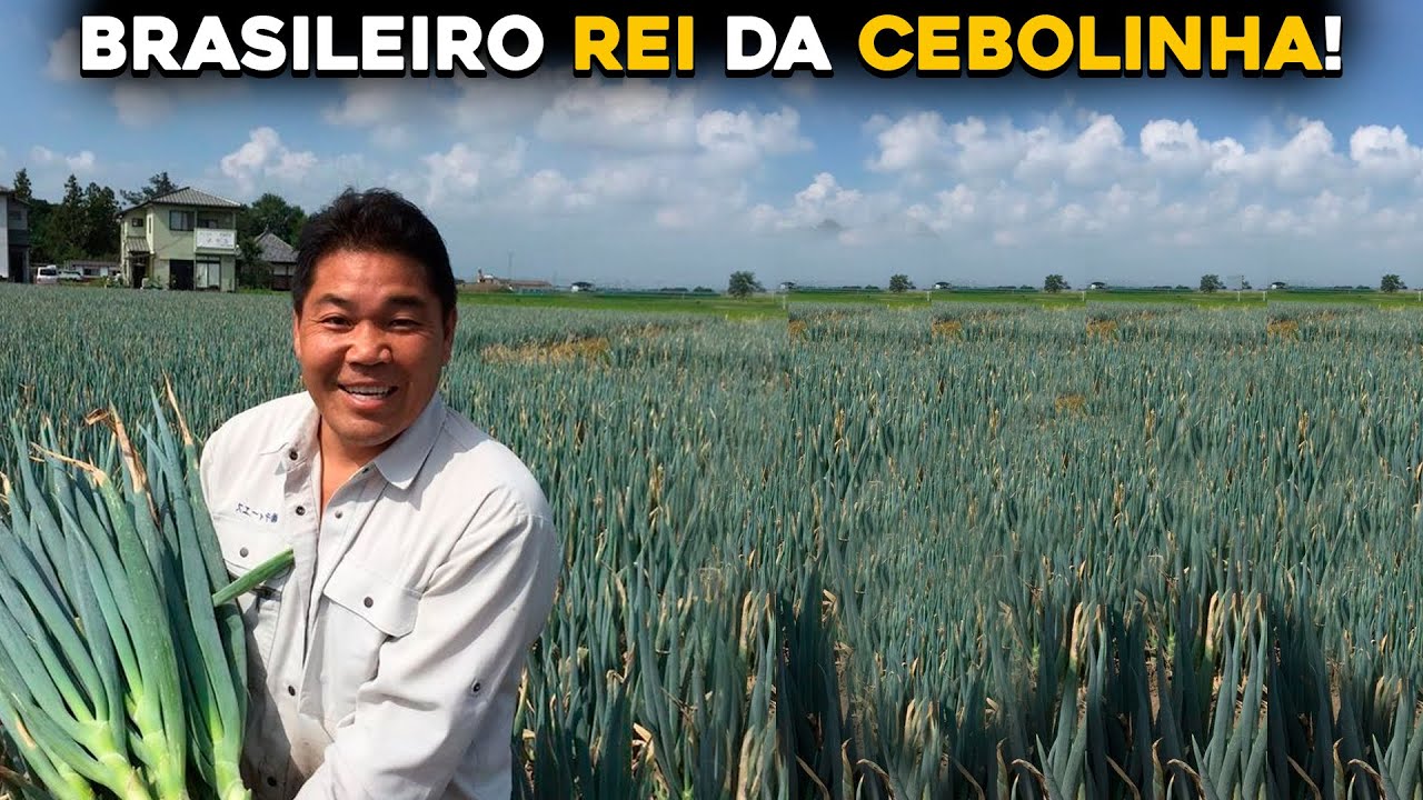 CONHEÇA O BRASILEIRO MAIOR PRODUTOR DE CEBOLINHA DO MUNDO!