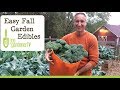 Easy Edibles for Every Fall Vegetable Garden