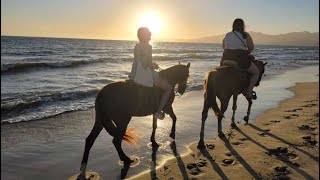 Parasailing and Horseback Riding in Puerto Vallarta!