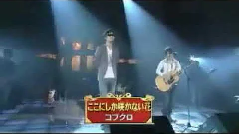 ここにしか咲かない花 Live At 日本武道館