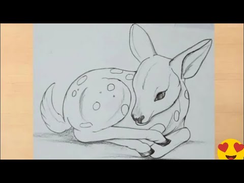 رسم بالرصاص كيفية رسم غزالة بطريقة سهلة خطوة بخطوة رسم سهل كراسات رسم تعليم الرسم