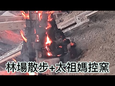 台南 最美的後花園 新化林場健行+太祖媽控窯