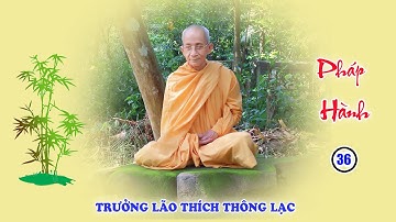 Pháp Hành 36 - 40: Hiểu Đúng Về 12 Nhân Duyên - Đoạn dứt duyên Sanh để vào Đạo