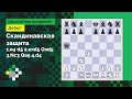 Скандинавская защита #2: 1.e4 d5 2.exd5 Qxd5 3.Nc3 Qa5 4.d4 – классика для не слабонервных // Дебют