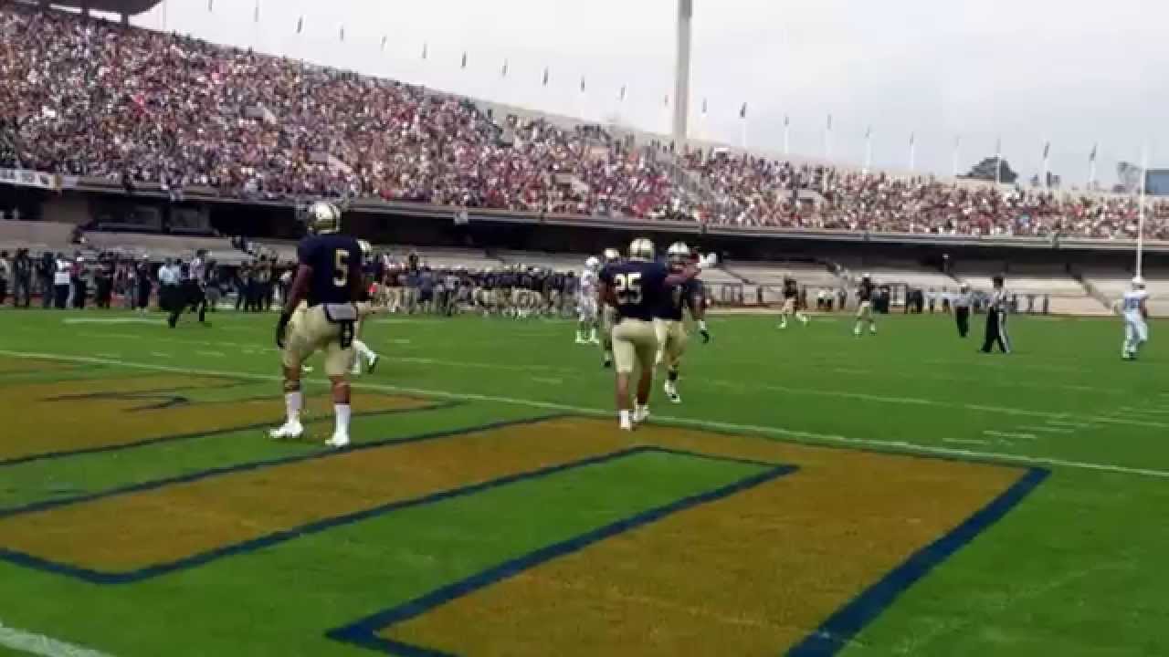 unam pumas dorados