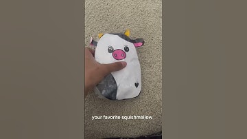 Squishmallow Check