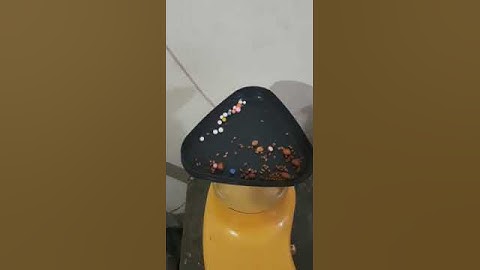 earthquake activity for kids