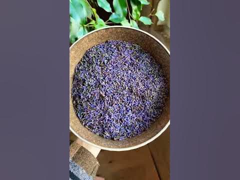 Весеннее настроение🌿 - YouTube