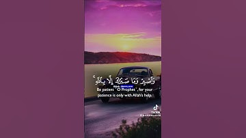 الشيخ داوود #اذكار #اكسبلور #المصحف #لايك #تاج_الذكر #الرحمن #تيك_توك