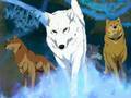 Wolf S Rain Face On 