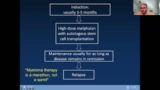 The Role of Maintenance Therapy in Today's Myeloma: Has Anything Changed?