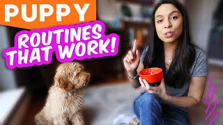 PUPPY DAILY HABITS!!  & Common Mistakes to Avoid  Part 2 of 2