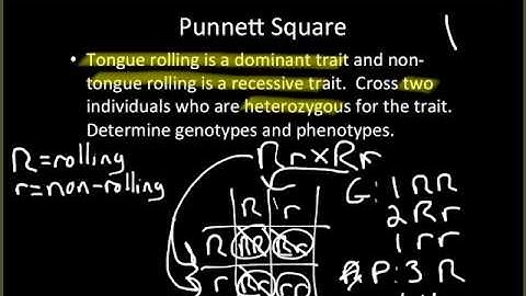 Video Lecture: 9-1 Introduction to Genetics