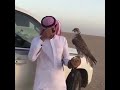 صدام حسين صقر العروبة