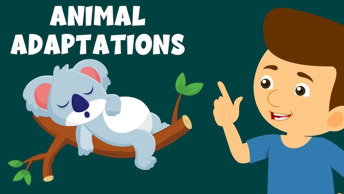 Animal Adaptations For Kids, Science, Grade 3 & 4