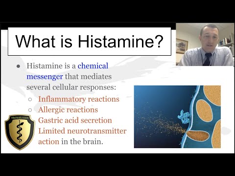 Histamine and its Actions - Quick Review!