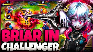 Can BRIAR Be Played VS Pros/Challenger Games?