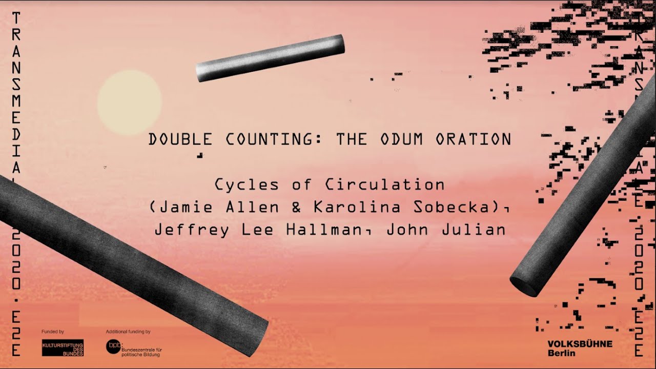 Double Counting: The Odum Oration