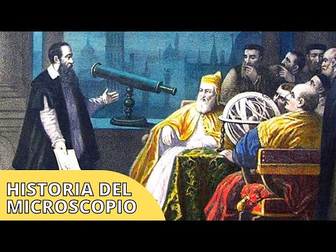 ¿Cómo se inventó el microscopio? La historia en línea del tiempo del microscopio🔬