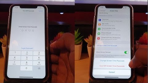 Content and Privacy Restrictions iPhone Forgot Password