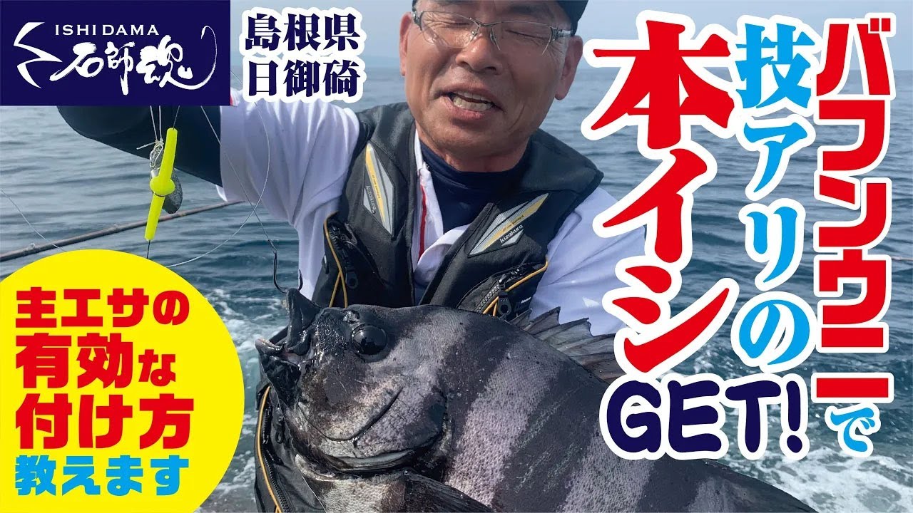 エサの付け方教えます】バフンウニで技ありの本イシGET！主エサの有効
