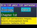 B.Sc 1st year 1st semester || Zoology || 1st Chapter Topic Cell Interaction, Integrins, Selectin