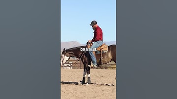 Have you ever struggled to get that perfect shape? #reininghorsesofinstagram #horsetrainingtips