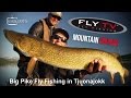 FLY TV - Mountain Mamas - Big Pike Fly Fishing in Tjuonajokk (Lapland, Sweden)